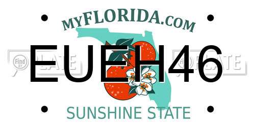EUEH46 Florida License Plate