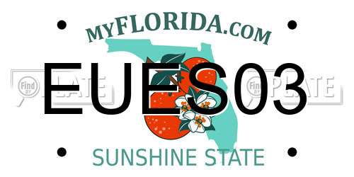 EUES03 Florida License Plate