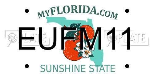 EUFM11 Florida License Plate
