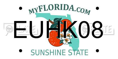EUHK08 Florida License Plate