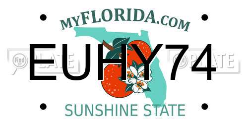 EUHY74 Florida License Plate