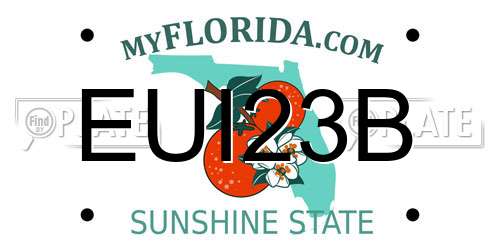 EUI23B Florida License Plate