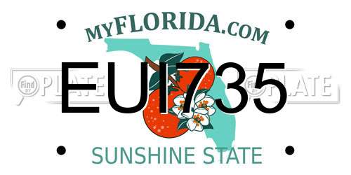 EUI735 Florida License Plate