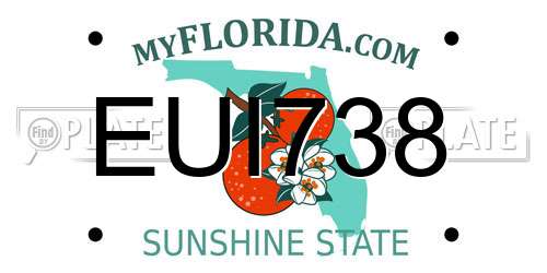 EUI738 Florida License Plate