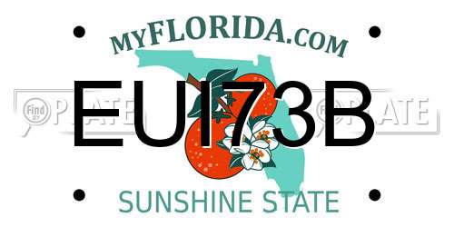 EUI73B Florida License Plate