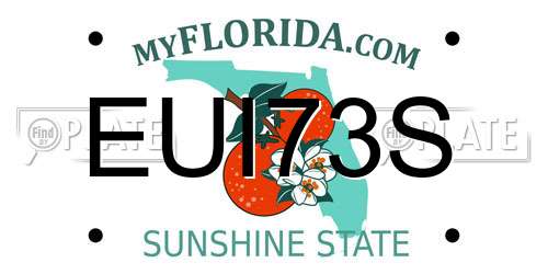 EUI73S Florida License Plate