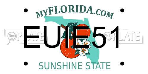 EUIE51 Florida License Plate