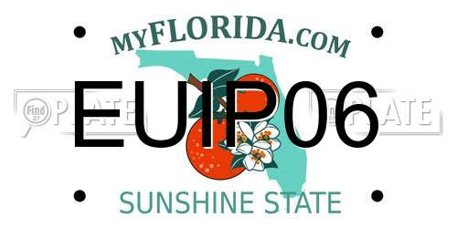 EUIP06 Florida License Plate
