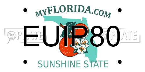 EUIP80 Florida License Plate