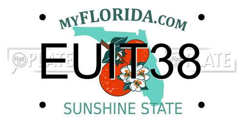 EUIT38 Florida License Plate