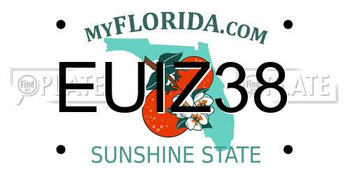 EUIZ38 Florida License Plate