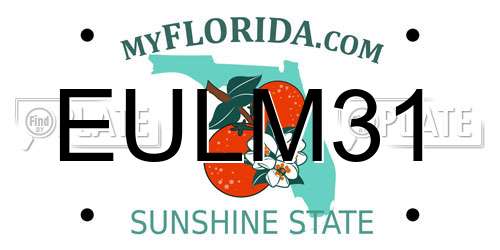 EULM31 Florida License Plate