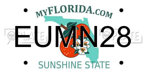 EUMN28 Florida License Plate