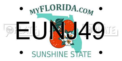 EUNJ49 Florida License Plate