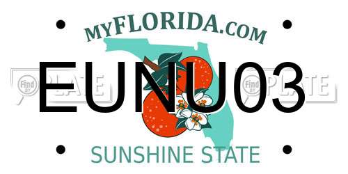 EUNU03 Florida License Plate