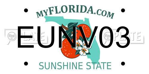 EUNV03 Florida License Plate