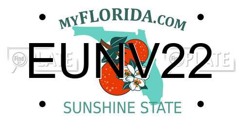 EUNV22 Florida License Plate