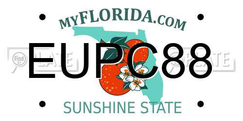 EUPC88 Florida License Plate