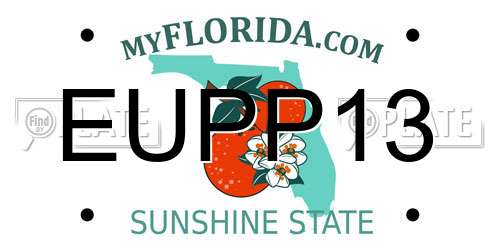EUPP13 Florida License Plate