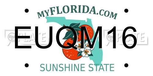 EUQM16 Florida License Plate