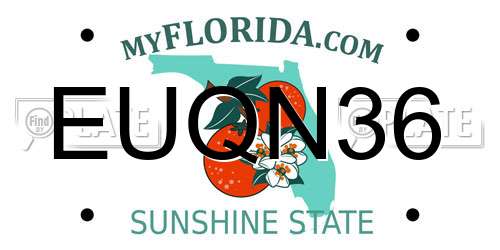 EUQN36 Florida License Plate