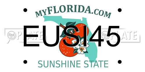 EUSI45 Florida License Plate