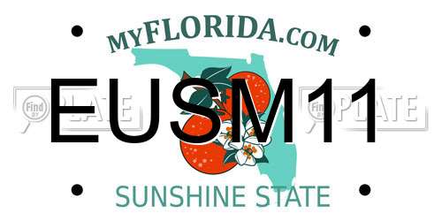 EUSM11 Florida License Plate