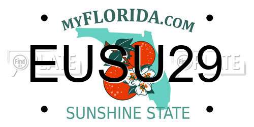 EUSU29 Florida License Plate