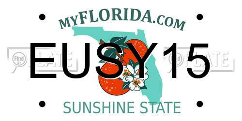 EUSY15 Florida License Plate