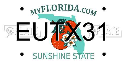 EUTX31 Florida License Plate