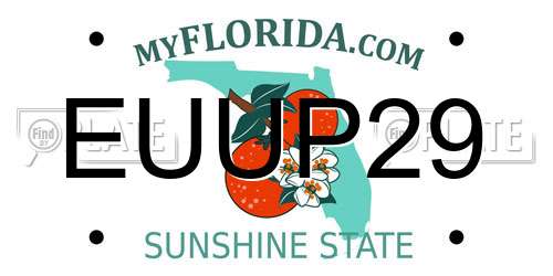 EUUP29 Florida License Plate