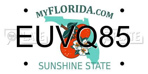 EUVQ85 Florida License Plate