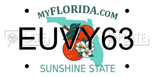 EUVY63 Florida License Plate
