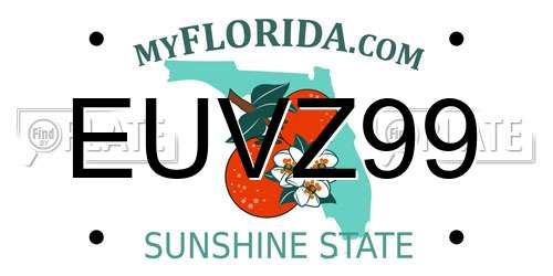 EUVZ99 Florida License Plate