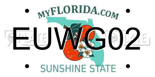 EUWG02 Florida License Plate