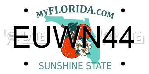 EUWN44 Florida License Plate