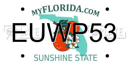 EUWP53 Florida License Plate