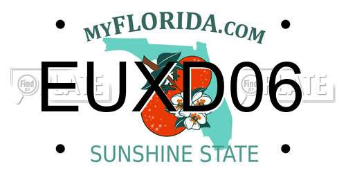 EUXD06 Florida License Plate