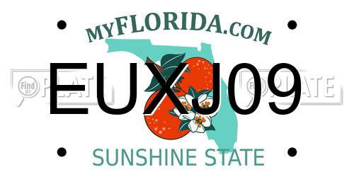 EUXJ09 Florida License Plate