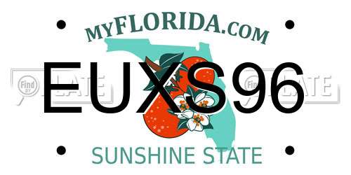EUXS96 Florida License Plate