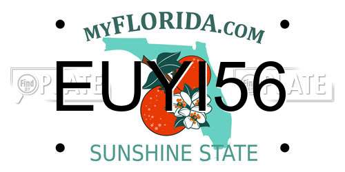 EUYI56 Florida License Plate