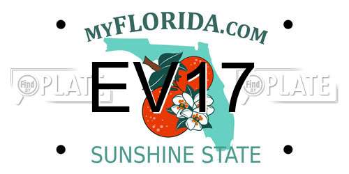 EV17 Florida License Plate