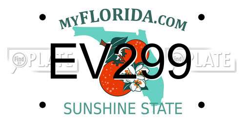 EV299 Florida License Plate