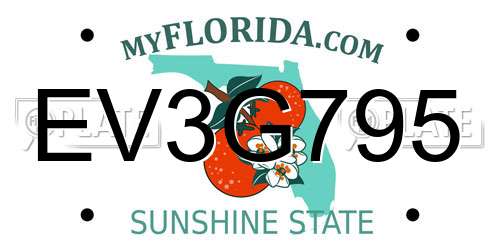 EV3G795 Florida License Plate