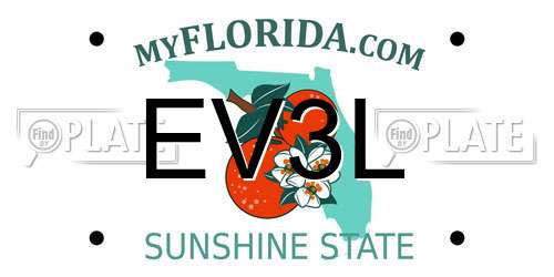 EV3L Florida License Plate