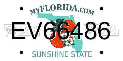 EV66486 Florida License Plate