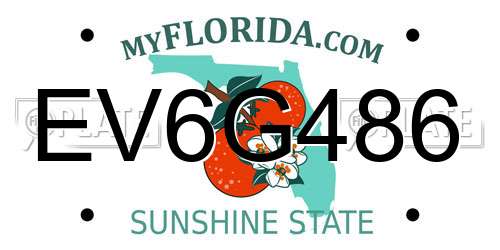 EV6G486 Florida License Plate