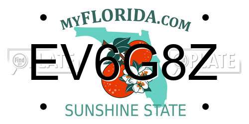 EV6G8Z Florida License Plate