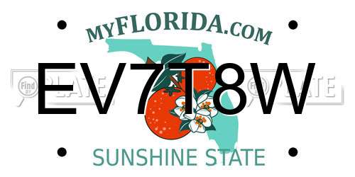 EV7T8W Florida License Plate
