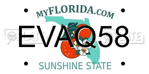 EVAQ58 Florida License Plate